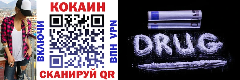 COCAIN Fish Scale  Купить закладки  Ревда 