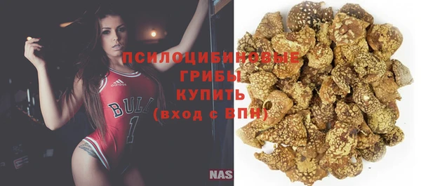 spice Балабаново